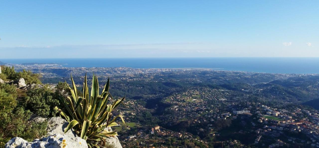 Bed and Breakfast La Bastide Des Pins Vence Exterior foto